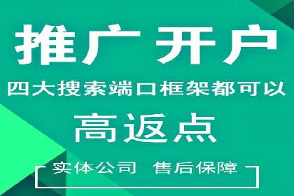 实战解析：SEM推广代运营案例